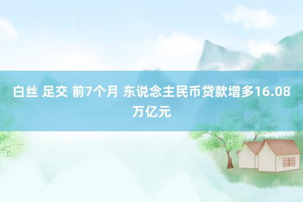 白丝 足交 前7个月 东说念主民币贷款增多16.08万亿元