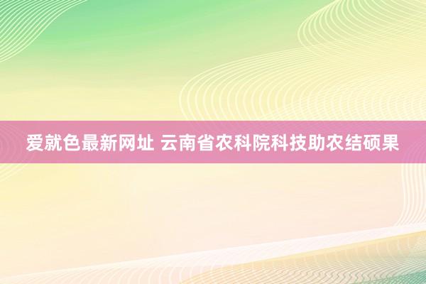 爱就色最新网址 云南省农科院科技助农结硕果