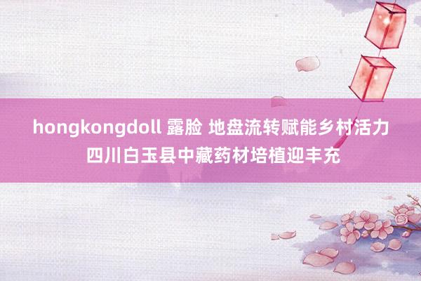 hongkongdoll 露脸 地盘流转赋能乡村活力 四川白玉县中藏药材培植迎丰充