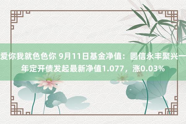 爱你我就色色你 9月11日基金净值：圆信永丰聚兴一年定开债发起最新净值1.077，涨0.03%