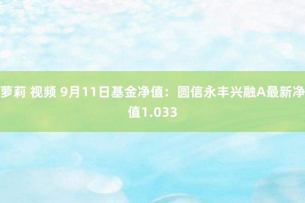 萝莉 视频 9月11日基金净值：圆信永丰兴融A最新净值1.033