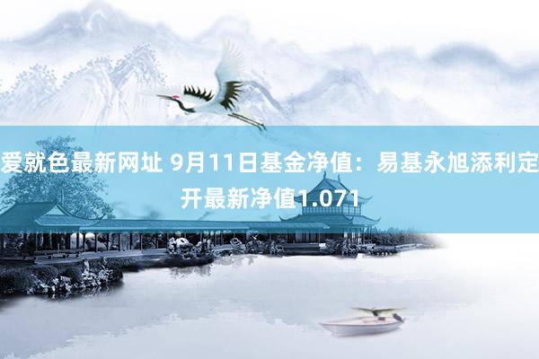 爱就色最新网址 9月11日基金净值：易基永旭添利定开最新净值1.071