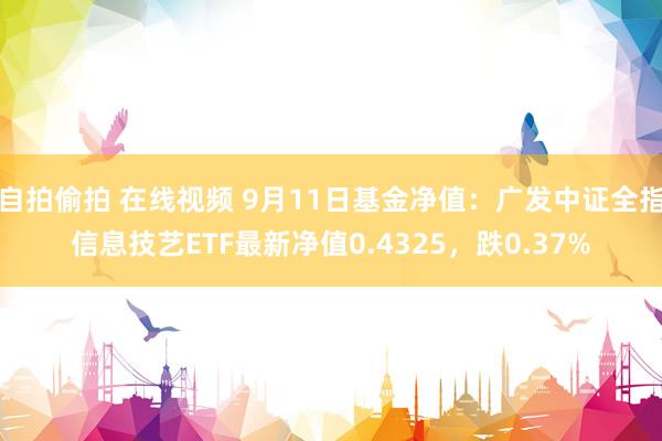 自拍偷拍 在线视频 9月11日基金净值：广发中证全指信息技艺ETF最新净值0.4325，跌0.37%