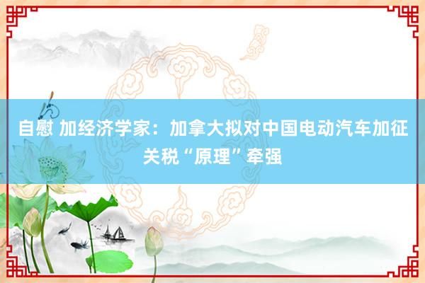 自慰 加经济学家：加拿大拟对中国电动汽车加征关税“原理”牵强