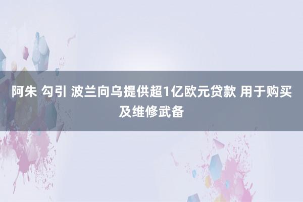 阿朱 勾引 波兰向乌提供超1亿欧元贷款 用于购买及维修武备