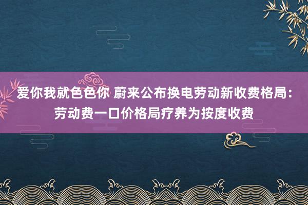 爱你我就色色你 蔚来公布换电劳动新收费格局：劳动费一口价格局疗养为按度收费