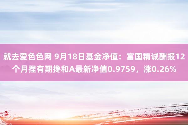 就去爱色色网 9月18日基金净值：富国精诚酬报12个月捏有期搀和A最新净值0.9759，涨0.26%