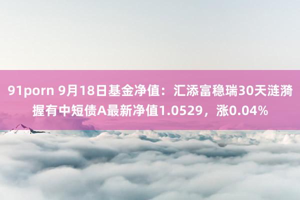 91porn 9月18日基金净值：汇添富稳瑞30天涟漪握有中短债A最新净值1.0529，涨0.04%