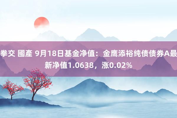 拳交 國產 9月18日基金净值：金鹰添裕纯债债券A最新净值1.0638，涨0.02%