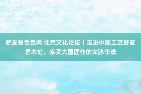 就去爱色色网 北京文化论坛丨走进中国工艺好意思术馆，感受大国匠作的文脉华滋