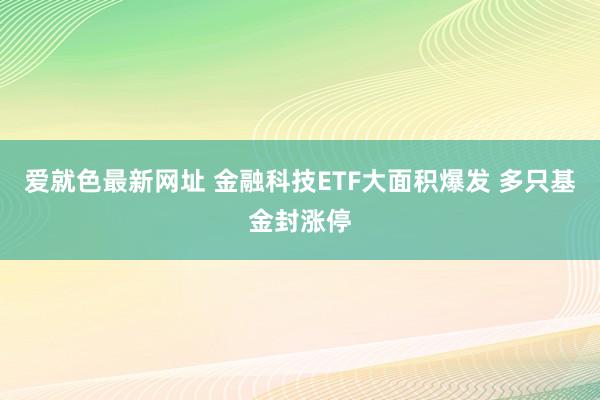 爱就色最新网址 金融科技ETF大面积爆发 多只基金封涨停