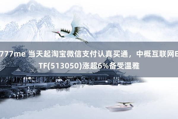 777me 当天起淘宝微信支付认真买通，中概互联网ETF(513050)涨超6%备受温雅