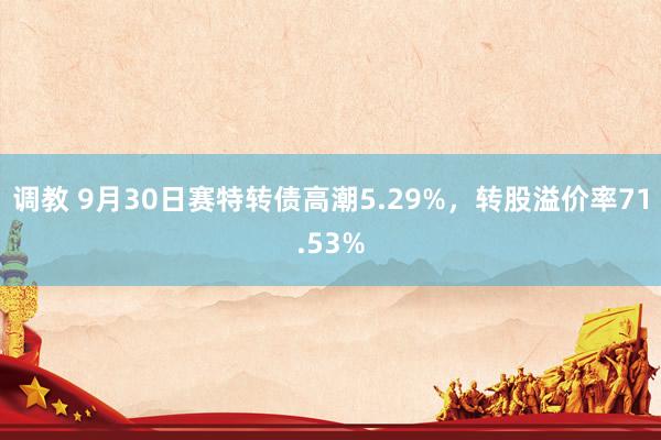 调教 9月30日赛特转债高潮5.29%，转股溢价率71.53%