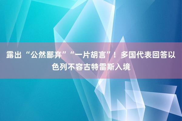 露出 “公然鄙弃”“一片胡言”！多国代表回答以色列不容古特雷斯入境