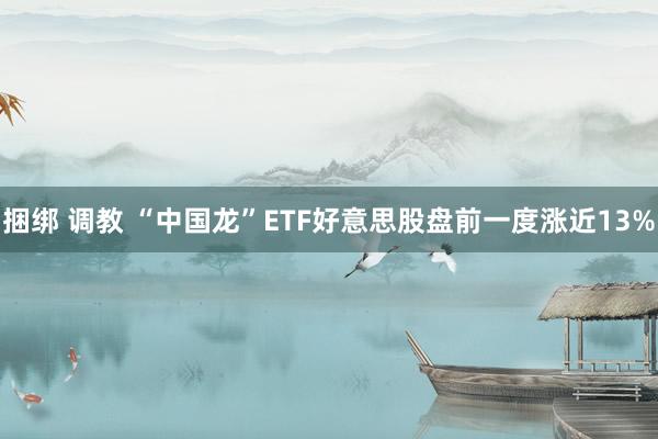 捆绑 调教 “中国龙”ETF好意思股盘前一度涨近13%