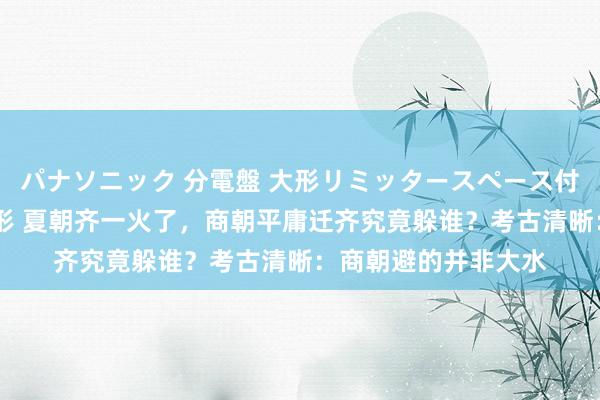 パナソニック 分電盤 大形リミッタースペース付 露出・半埋込両用形 夏朝齐一火了，商朝平庸迁齐究竟躲谁？考古清晰：商朝避的并非大水