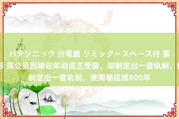 パナソニック 分電盤 リミッタースペース付 露出・半埋込両用形 周公旦因辅佐年幼成王受谤，却制定出一套轨制，使周朝延续800年