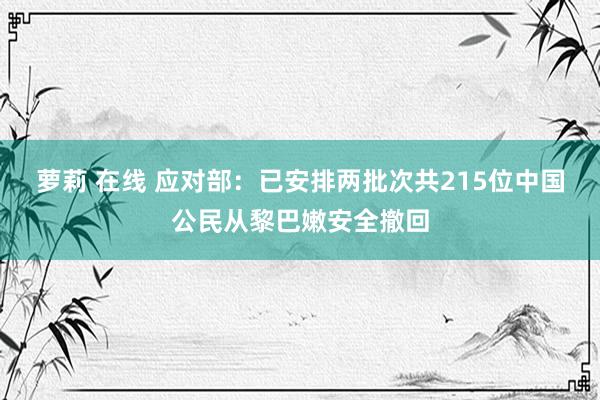 萝莉 在线 应对部：已安排两批次共215位中国公民从黎巴嫩安全撤回