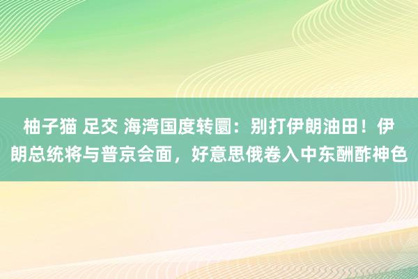 柚子猫 足交 海湾国度转圜：别打伊朗油田！伊朗总统将与普京会面，好意思俄卷入中东酬酢神色