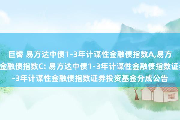 巨臀 易方达中债1-3年计谋性金融债指数A，易方达中债1-3年计谋性金融债指数C: 易方达中债1-3年计谋性金融债指数证券投资基金分成公告