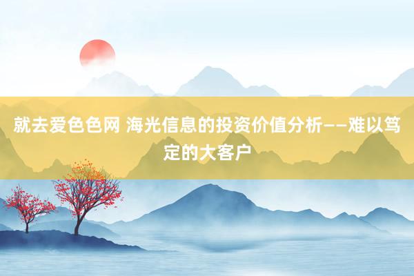 就去爱色色网 海光信息的投资价值分析——难以笃定的大客户