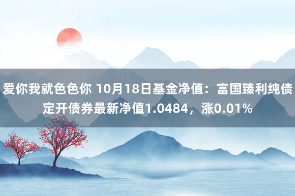 爱你我就色色你 10月18日基金净值：富国臻利纯债定开债券最新净值1.0484，涨0.01%