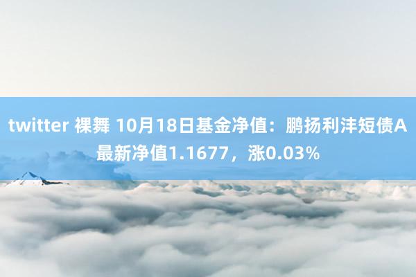 twitter 裸舞 10月18日基金净值：鹏扬利沣短债A最新净值1.1677，涨0.03%