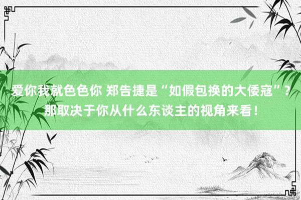 爱你我就色色你 郑告捷是“如假包换的大倭寇”？那取决于你从什么东谈主的视角来看！