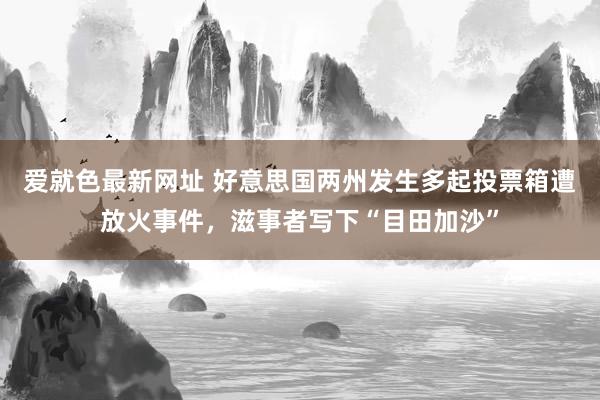 爱就色最新网址 好意思国两州发生多起投票箱遭放火事件，滋事者写下“目田加沙”