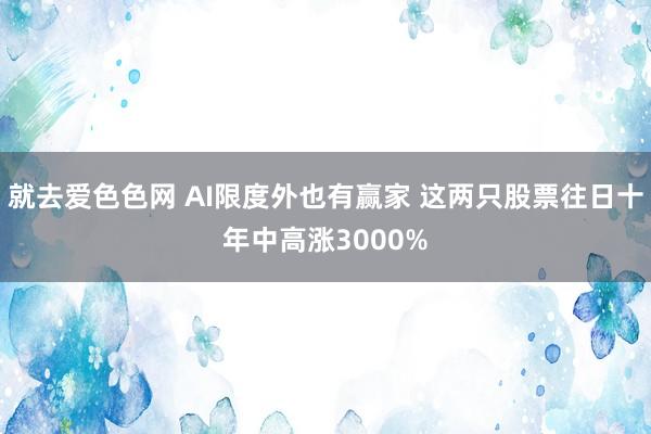 就去爱色色网 AI限度外也有赢家 这两只股票往日十年中高涨3000%