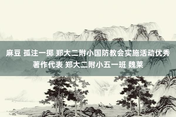 麻豆 孤注一掷 郑大二附小国防教会实施活动优秀著作代表 郑大二附小五一班 魏莱