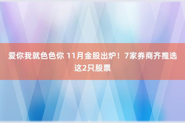 爱你我就色色你 11月金股出炉！7家券商齐推选这2只股票