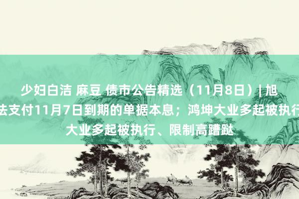 少妇白洁 麻豆 债市公告精选（11月8日）| 旭辉控股展望无法支付11月7日到期的单据本息；鸿坤大业多起被执行、限制高蹧跶