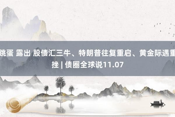 跳蛋 露出 股债汇三牛、特朗普往复重启、黄金际遇重挫 | 债圈全球说11.07