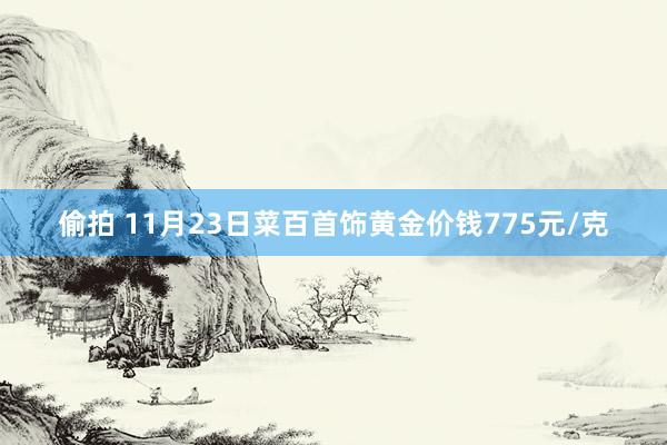 偷拍 11月23日菜百首饰黄金价钱775元/克