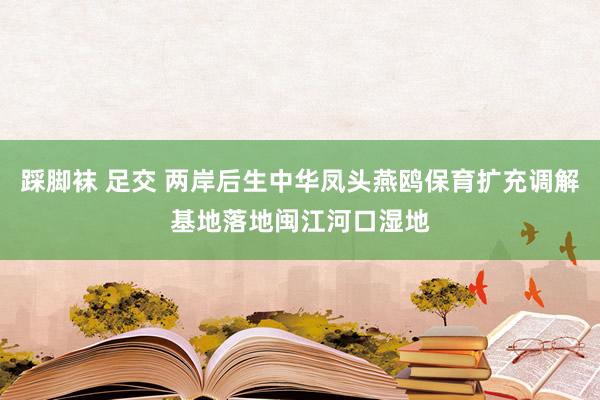 踩脚袜 足交 两岸后生中华凤头燕鸥保育扩充调解基地落地闽江河口湿地