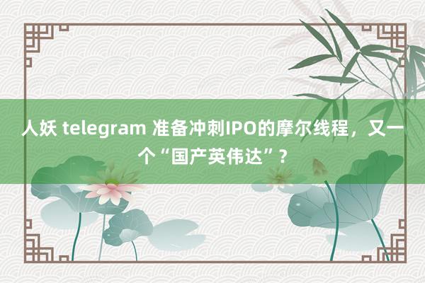 人妖 telegram 准备冲刺IPO的摩尔线程，又一个“国产英伟达”？