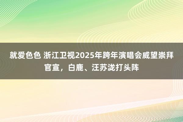 就爱色色 浙江卫视2025年跨年演唱会威望崇拜官宣，白鹿、汪苏泷打头阵