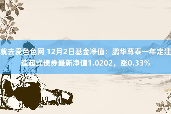 就去爱色色网 12月2日基金净值：鹏华尊泰一年定建造起式债券最新净值1.0202，涨0.33%