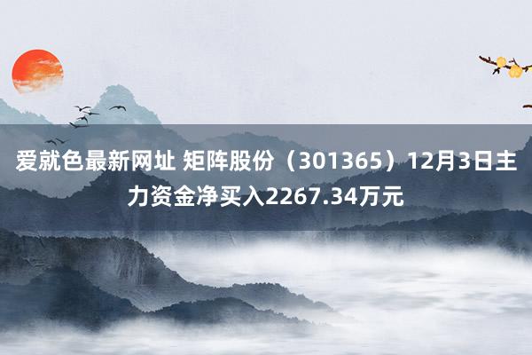 爱就色最新网址 矩阵股份（301365）12月3日主力资金净买入2267.34万元