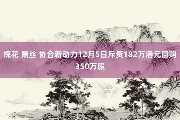 探花 黑丝 协合新动力12月5日斥资182万港元回购350万股