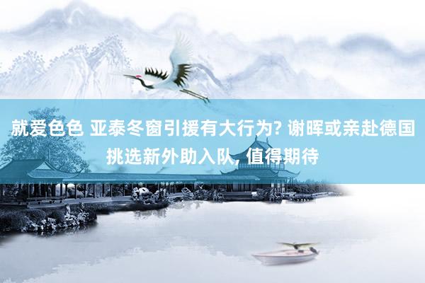 就爱色色 亚泰冬窗引援有大行为? 谢晖或亲赴德国挑选新外助入队， 值得期待