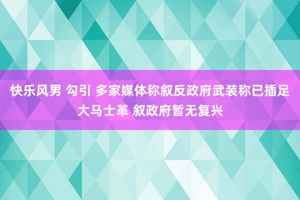 快乐风男 勾引 多家媒体称叙反政府武装称已插足大马士革 叙政府暂无复兴