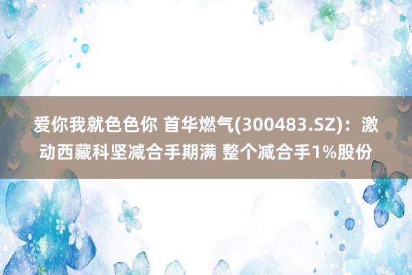 爱你我就色色你 首华燃气(300483.SZ)：激动西藏科坚减合手期满 整个减合手1%股份