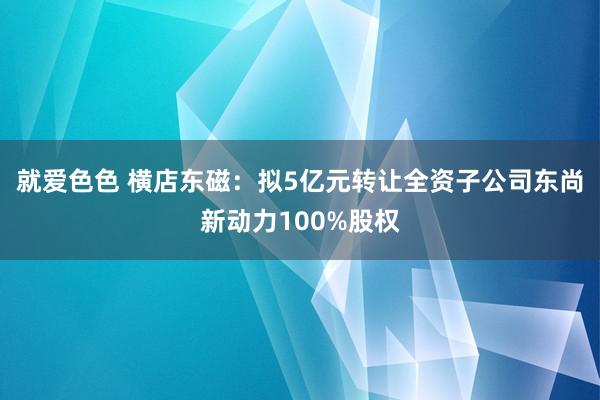 就爱色色 横店东磁：拟5亿元转让全资子公司东尚新动力100%股权