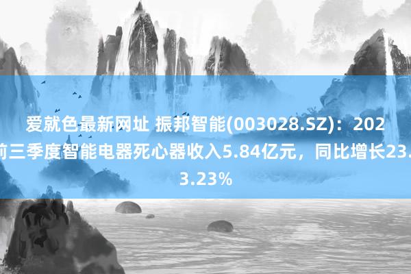 爱就色最新网址 振邦智能(003028.SZ)：2024年前三季度智能电器死心器收入5.84亿元，同比增长23.23%