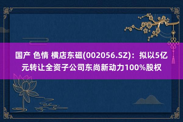 国产 色情 横店东磁(002056.SZ)：拟以5亿元转让全资子公司东尚新动力100%股权