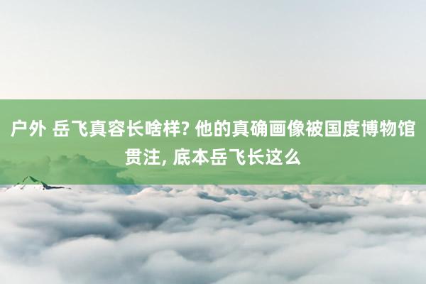 户外 岳飞真容长啥样? 他的真确画像被国度博物馆贯注， 底本岳飞长这么