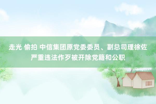 走光 偷拍 中信集团原党委委员、副总司理徐佐严重违法作歹被开除党籍和公职