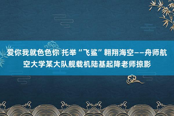 爱你我就色色你 托举“飞鲨”翱翔海空——舟师航空大学某大队舰载机陆基起降老师掠影